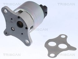 Supapa EGR Triscan 8813 21001