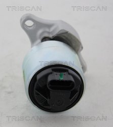 Supapa EGR Triscan 8813 21001