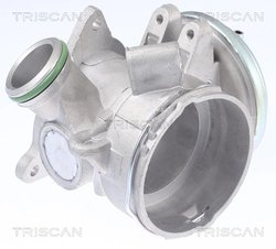 Supapa EGR Triscan 8813 23032