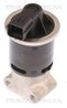 Supapa EGR Triscan 8813 21100