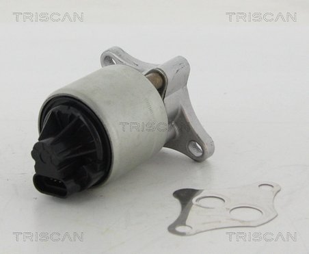 SUPAPA EGR TRISCAN 8813 24004 - Compatibil cu OPEL, VAUXHALL