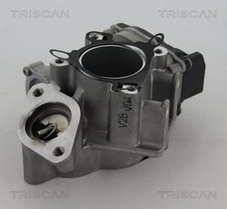 Supapa EGR Triscan 8813 24039