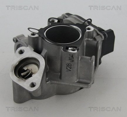 SUPAPA EGR TRISCAN 8813 24039 - Compatibil cu NISSAN, OPEL, RENAULT, VAUXHALL