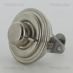 Supapa EGR Triscan 8813 24054