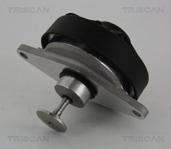 Supapa EGR Triscan 8813 24202
