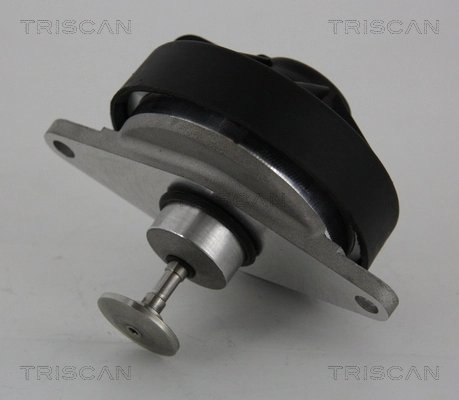 SUPAPA EGR TRISCAN 8813 24202 - Compatibil cu OPEL, VAUXHALL