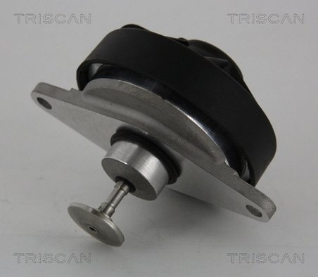 SUPAPA EGR TRISCAN 8813 24202 - Compatibil cu OPEL, VAUXHALL