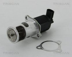 Supapa EGR Triscan 8813 25038