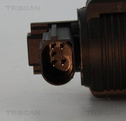 Supapa EGR Triscan 8813 25038