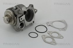 Supapa EGR Triscan 8813 28019
