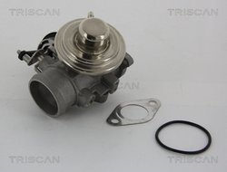 Supapa EGR Triscan 8813 29001