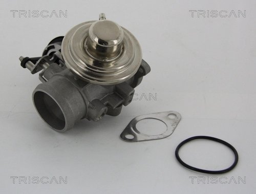 SUPAPA EGR TRISCAN 8813 29001 - Compatibil cu AUDI, SEAT, SKODA, VW