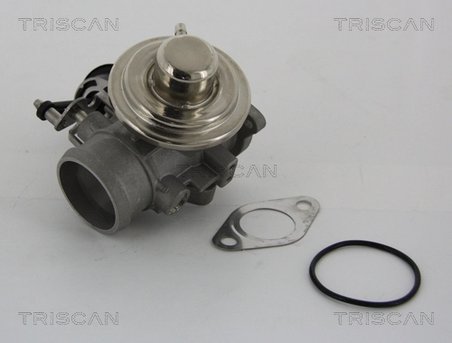 SUPAPA EGR TRISCAN 8813 29001 - Compatibil cu AUDI, SEAT, SKODA, VW