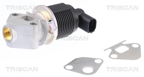 SUPAPA EGR TRISCAN 8813 29009 - Compatibil cu AUDI, SEAT, SKODA, VW