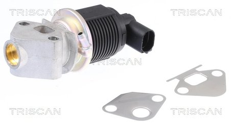 SUPAPA EGR TRISCAN 8813 29009 - Compatibil cu AUDI, SEAT, SKODA, VW