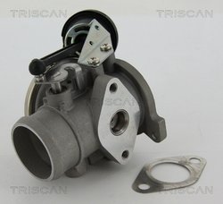 Supapa EGR Triscan 8813 29022