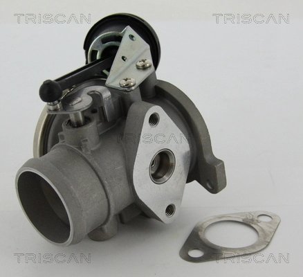 SUPAPA EGR TRISCAN 8813 29022 - Compatibil cu AUDI, SEAT, VW