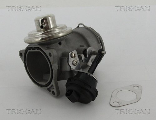 SUPAPA EGR TRISCAN 8813 29036 - Compatibil cu SEAT, SKODA, VW