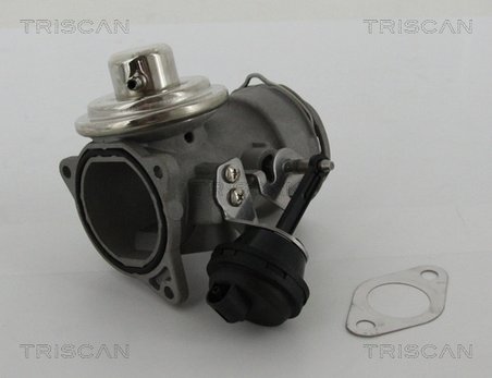 SUPAPA EGR TRISCAN 8813 29036 - Compatibil cu SEAT, SKODA, VW