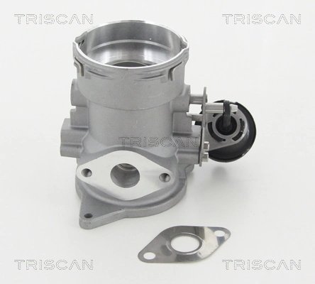 Supapa EGR Triscan 8813 29056