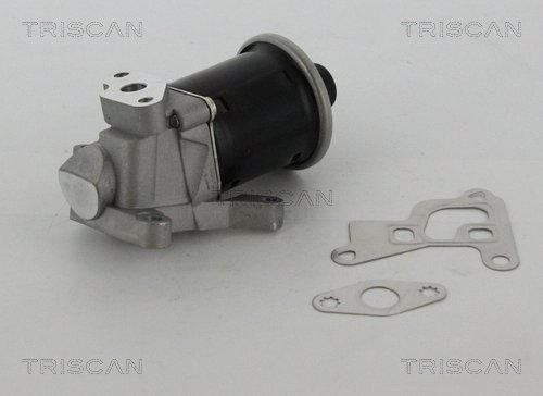 SUPAPA EGR TRISCAN 8813 29100 - Compatibil cu SEAT, VW