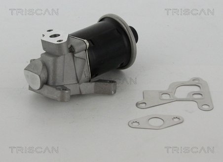SUPAPA EGR TRISCAN 8813 29100 - Compatibil cu SEAT, VW