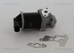SUPAPA EGR TRISCAN 8813 29100 - Compatibil cu SEAT, VW
