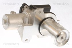 Supapa EGR Triscan 8813 29101