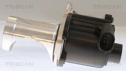 Supapa EGR Triscan 8813 29101