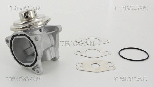 Supapa EGR Triscan 8813 29111
