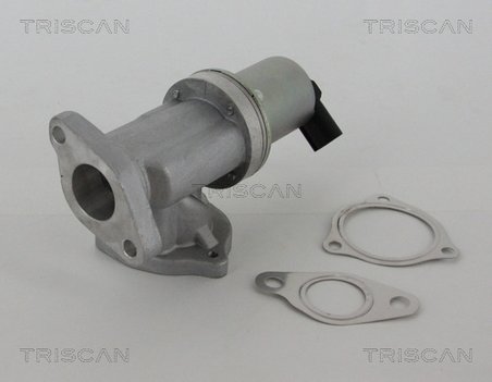 SUPAPA EGR TRISCAN 8813 43002 - Compatibil cu HYUNDAI, KIA