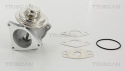 Supapa EGR Triscan 8813 29111