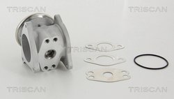 Supapa EGR Triscan 8813 29111