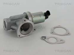 SUPAPA EGR TRISCAN 8813 43002 - Compatibil cu HYUNDAI, KIA