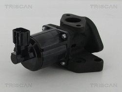 Supapa EGR Triscan 8813 50007