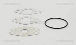 Supapa EGR Triscan 8813 29111