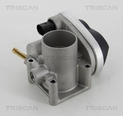 Carcasa clapeta acceleratie Triscan 8820 29001
