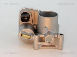 Carcasa clapeta acceleratie Triscan 8820 29001