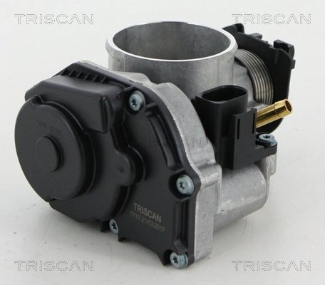 Carcasa clapeta acceleratie Triscan 8820 29016