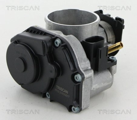 Carcasa clapeta acceleratie Triscan 8820 29016