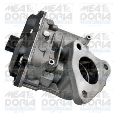 Supapa EGR Meat & Doria 88490