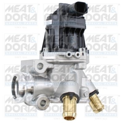 Supapa EGR Meat & Doria 88857