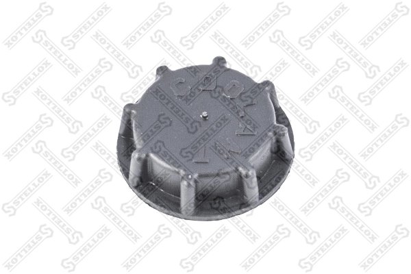 Buson vas expansiune Stellox 89-05205-SX