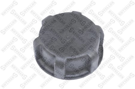 Buson vas expansiune Stellox 89-05208-SX