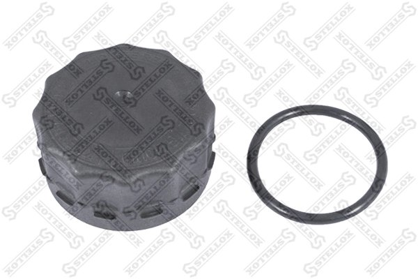 Buson vas expansiune Stellox 89-05209-SX