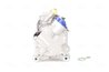 Compresor climatizare Nissens 890072
