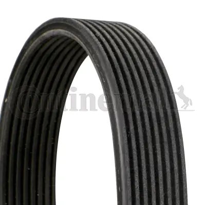 Curea transmisie CONTINENTAL 8DPK1827