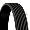 Curea transmisie CONTINENTAL 8PK1545