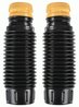 KIT PROTECTIE PRAF AMORTIZOR SACHS 900 250 - Compatibil cu FIAT, LANCIA