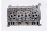 Chiulasa AMC 908457